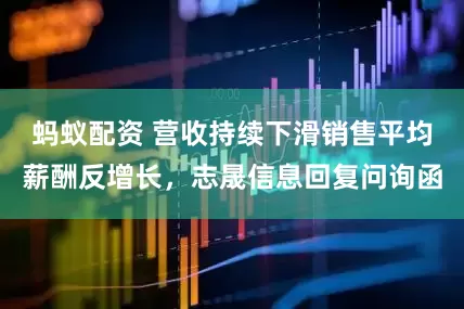 蚂蚁配资 营收持续下滑销售平均薪酬反增长，志晟信息回复问询函