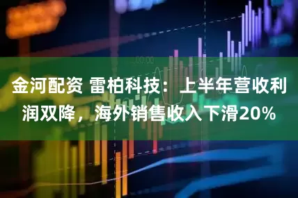 金河配资 雷柏科技：上半年营收利润双降，海外销售收入下滑20%