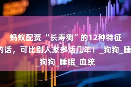 蚂蚁配资 “长寿狗”的12种特征，全中的话，可比别人家多活几年！_狗狗_睡眠_血统